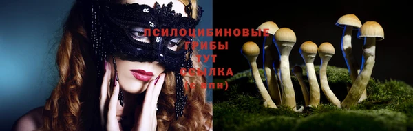 каннабис Магадан