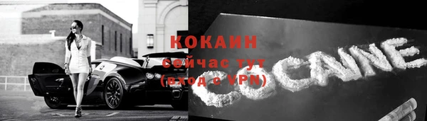 ECSTASY Магас