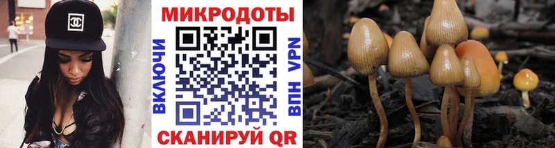 Галлюциногенные грибы мухоморы Новомичуринск