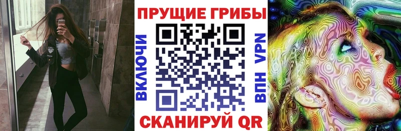 Галлюциногенные грибы GOLDEN TEACHER  Новомичуринск 