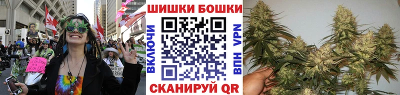 где можно купить Новомичуринск Канабис SATIVA & INDICA